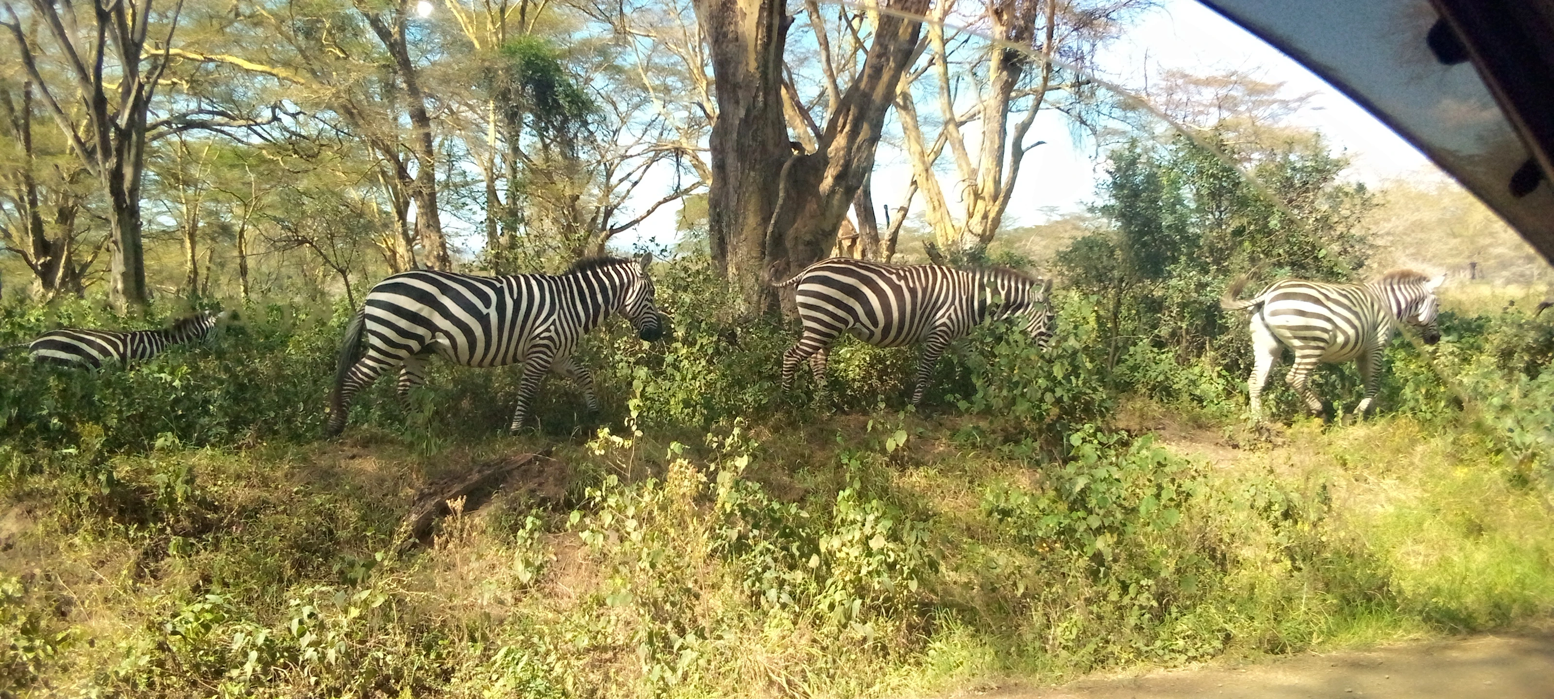 Executive Vehicles for Hire in Eldoret