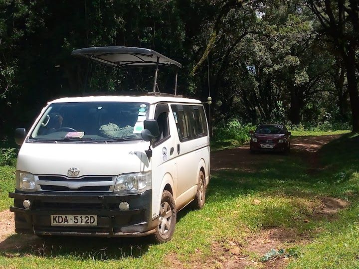 Tourist safari 4x4 jeep