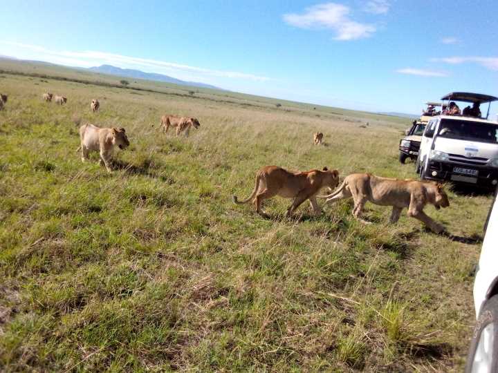 safari 4x4 jeep for rental in Eldoret, Kenya with driver